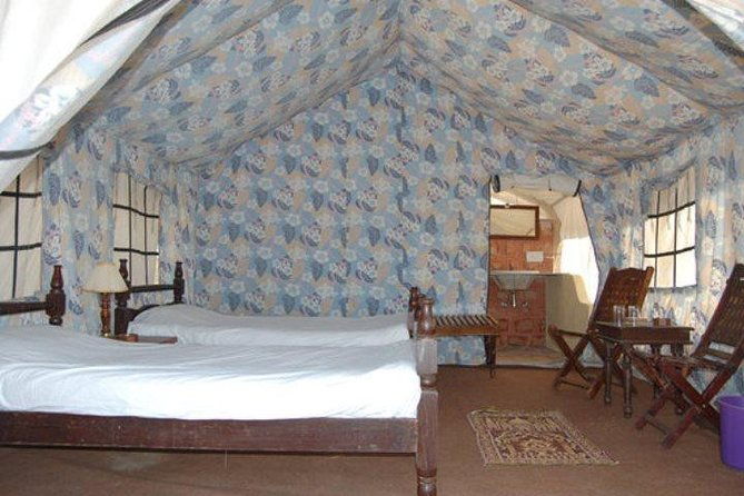 Overnight Camping With Camel Safari In Jodhpur - What’s Included and What’s Not