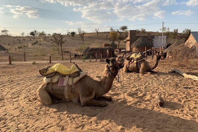 Overnight Stay In Swiss Tent With Camel Safari & Folk Dance - What We Think About the Value