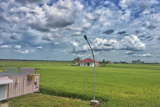 Paddy Field, Fishing Village Sekinchan DAY Tour Lunch (SIC-Shared/Join In Tour) - Authentic Experiences & Reviewer Insights