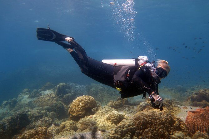 Padi Advanced open Water Diver Courses (Start at Koh Chang) - Final Thoughts