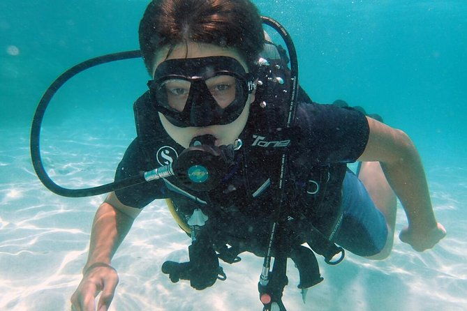 PADI Discover Scuba Diving in Koh Tao - half day and two dives - The Experience: Details That Matter