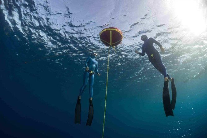 PADI Freediver Course - Overview of the PADI Freediver Course
