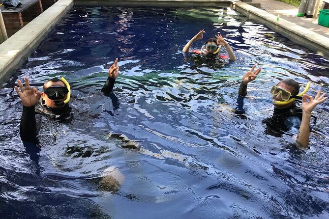 PADI Open water Course in Tulamben - Get certified & dive anywhere in the world - What Reviewers Love Most