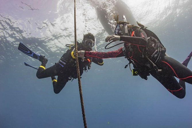 PADI Scuba Diver Course - What to Expect from the Course