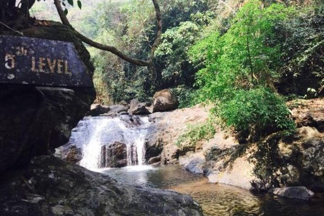 Pala U Waterfall in Kaeng Krachan Jungle with Private Guide from Hua Hin - The Itinerary in Detail: What to Expect