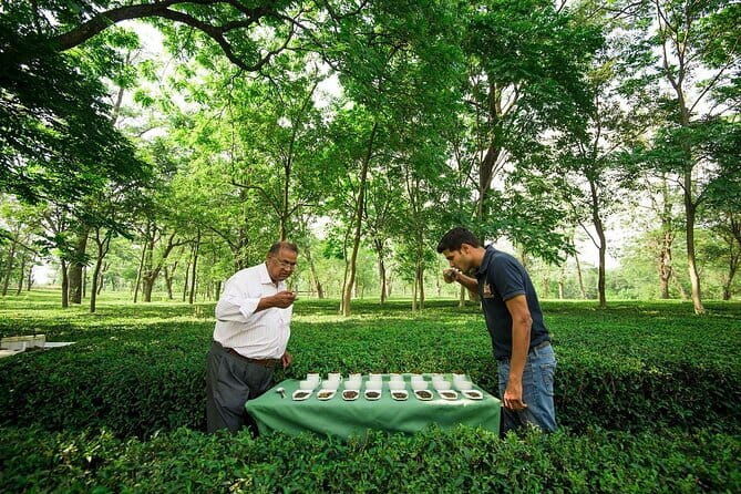 Palampur's Guided Day Tour: Discover the Tea Capital. - Who Is This Tour Best Suited For?