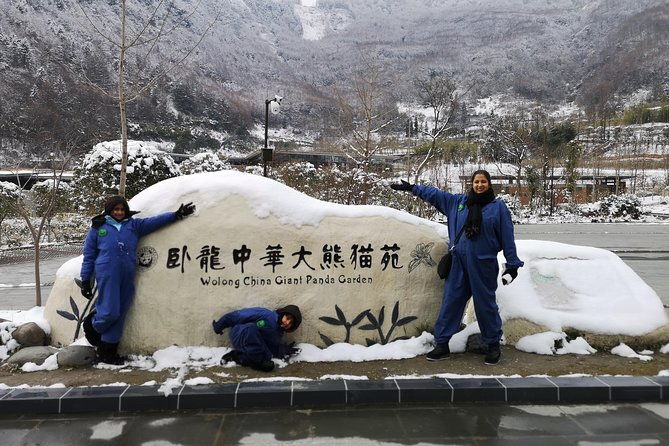 Panda Volunteer expperience in Dujiangyan or Wolong Panda Base - Who Will Love This Tour?