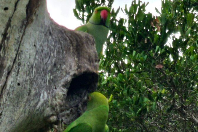 Paradise Bundala Safari Tours - What Makes This Tour Special?