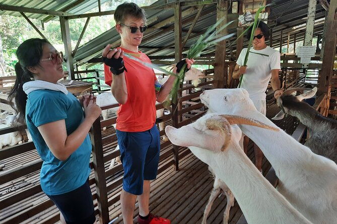 Penang Countryside Cycling Tour. PPA2 by Matahari - Who Will Love This Tour?