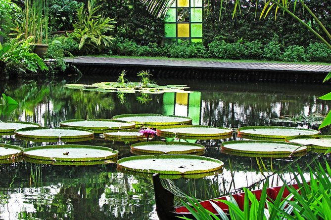 Penang Round Island Tour With Tropical Spice Garden & Entopia Butterfly Farm - Authentic Insights from Reviewers