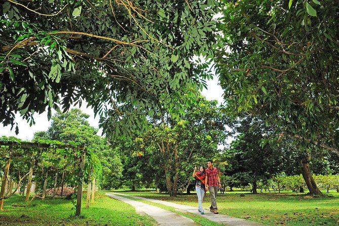 Penang Tropical Fruit Farm with Fruit Tasting - The Sum Up: Who Will Enjoy This Tour?