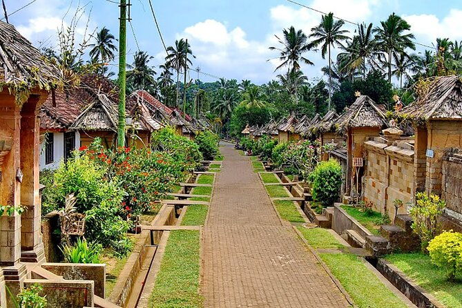 Penglipuran Traditional Village Tour with Swing, Rice Terrace, and Temple - A Deep Dive into the Experience