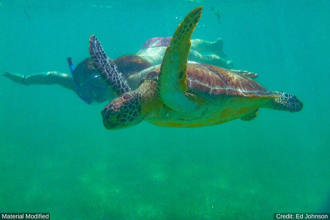 Philippines: See & Experience it ALL in 14 Days, 1st Class Custom Tours - Practical Tips and Considerations