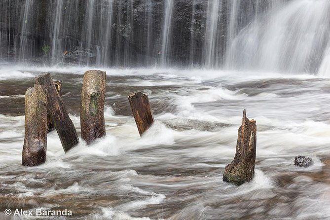 Phnom Kulen Waterfall and 1000 Linga River tour from Siem Reap - Who This Tour Is Perfect For