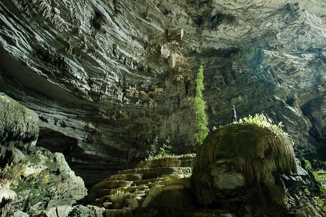 Phong Nha and Dark Cave 1 day tour - Value and Practical Considerations