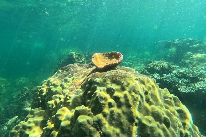 Phu Quoc: Snorkeling and Island Hopping By Speedboat with Lunch - The Itinerary Breakdown