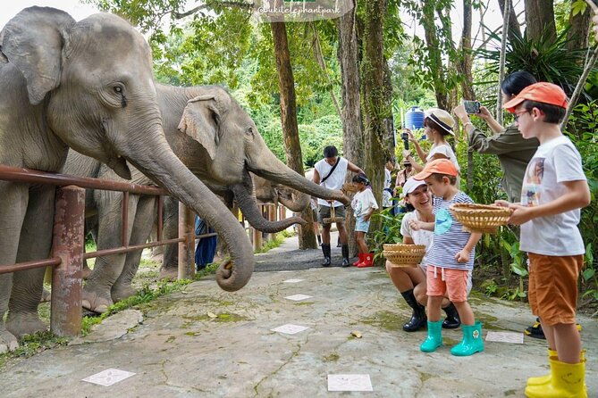 Phuket City Tour & Elephant Sanctuary: Sights, Tastes, Culture - Savoring Phuket’s Food Scene