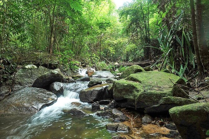 Phuket Jungle Trekking Experience at Khao Phra Taew National Park - The Itinerary: What to Expect on Your Jungle Day