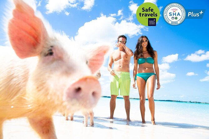 Pig Feeding, Kayaking, Snorkeling Trip at Pig Island By Speedboat From Koh Samui - Practical Tips for Making the Most of the Tour