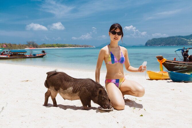 Pig Island Private Longtail Boat Trip From Koh Samui - What to Expect from the Pig Island Tour