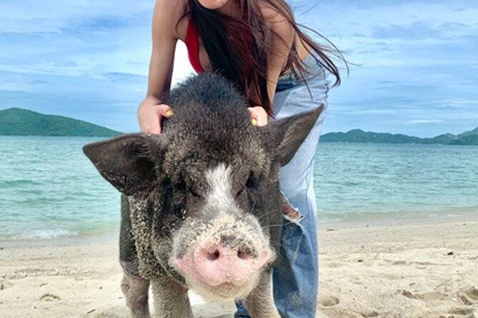 Pig Island Tour by Speedboat with Snorkeling - The Sum Up: Is This Tour Worth It?