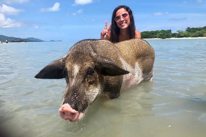 Pigs Island exclusive Semi VIP - Practical Details & What You Should Know