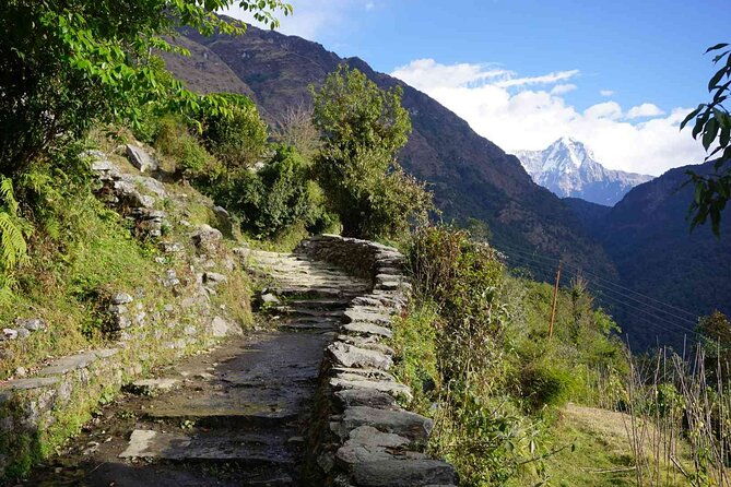 Pokhara: 4 Day Poon Hill Trek - What Makes This Trek Worthwhile?