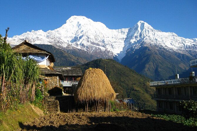 Pokhara: Dhampus Easy Trek for Families with YoungKids 2 Day Tour - In-Depth: The Itinerary Breakdown