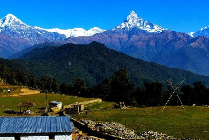 Pokhara: Easy Day Hike to Australian Camp & Dhampus Village - Transportation, Duration, and Group Size