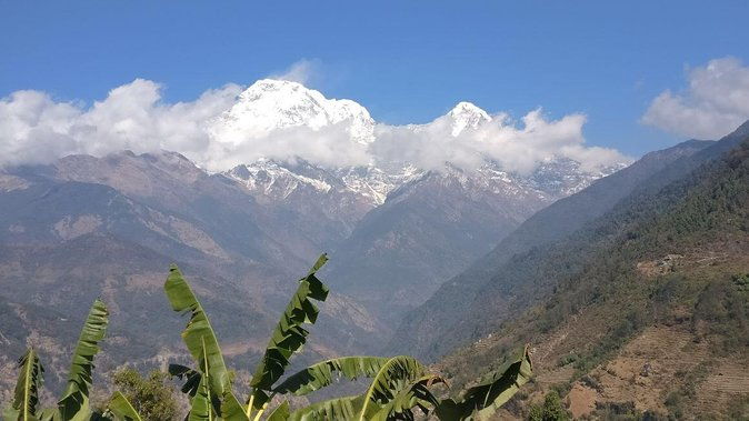 Pokhara: Poon Hill Ghorepani Short Trek - Authentic Feedback From Travelers