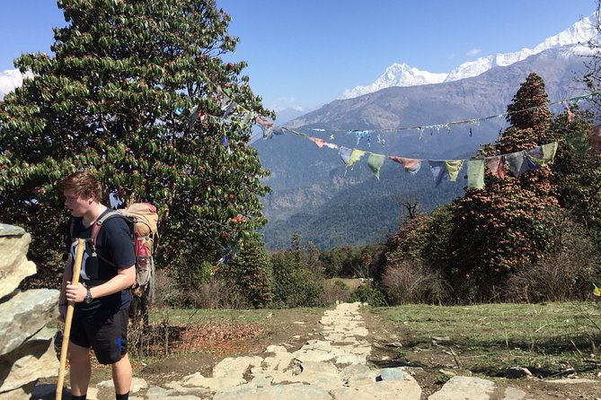 Poon Hill - Ghandruk Trek from Kathmandu - The Overview: A Well-Structured Himalayan Adventure
