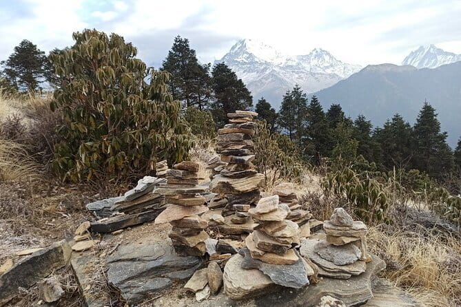 Poon Hill Trek from Pokhara 4 Days - Considerations Before Booking