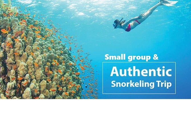 PREMIUM snorkel & islands hopping by SPEEDBOAT-Seafood BBQ(MAX12) - Authentic Coral Reef Experiences and Marine Life