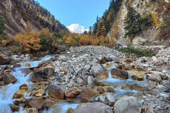 Private 14 Days Trek in Nepal's Manaslu Circuit - Transport, Guides, and Accommodation