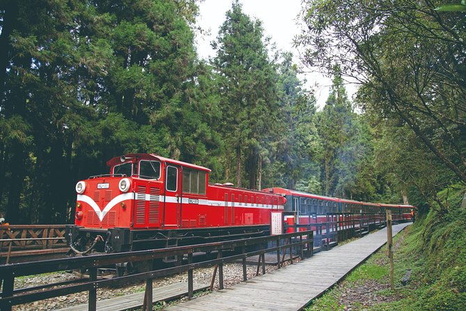Private 3-Day Tour to Sun Moon Lake and Alishan - Final Thoughts