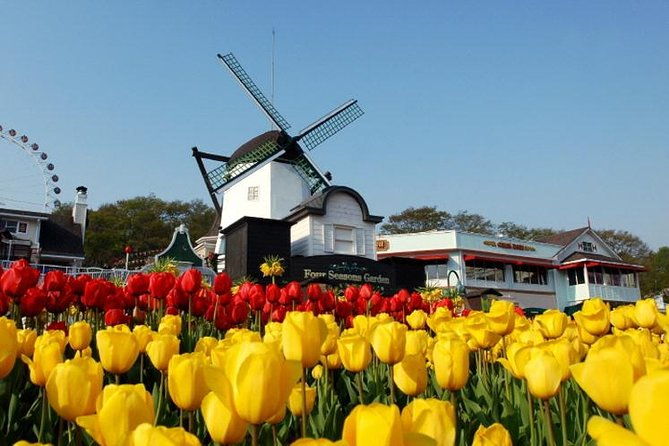 Private 4 days Nami Island&Petite France&Seoul&Everland tour - Is It Worth the Price?