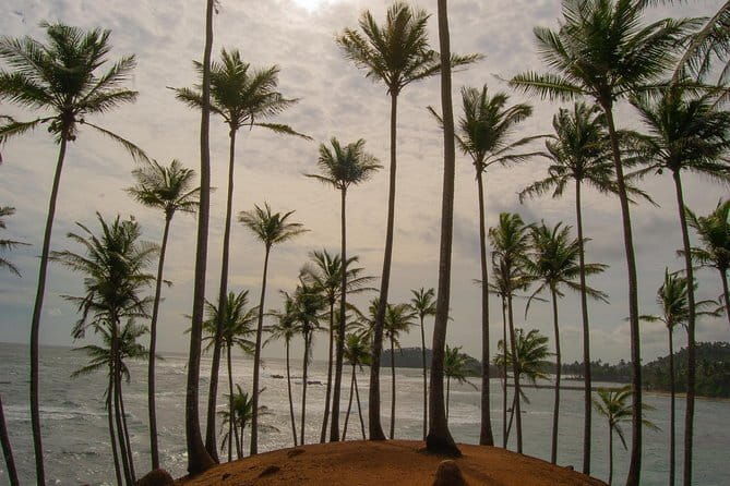Private 6-Day-Highlights-Tour Around Sri Lanka - What Sets This Tour Apart?