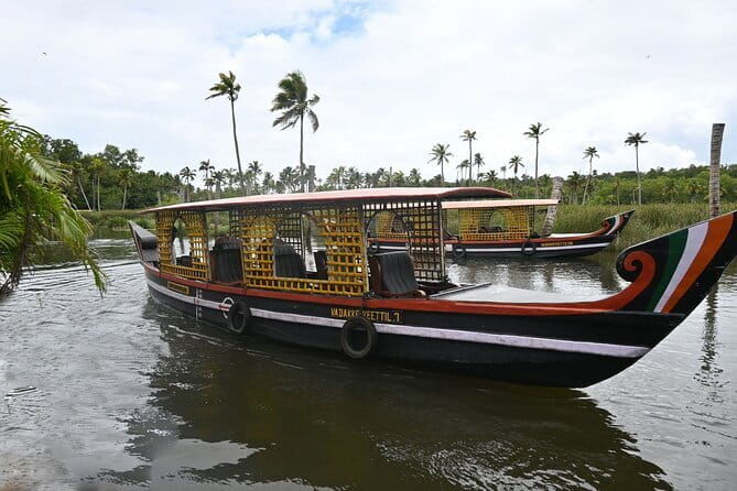 Private Backwater Boat Cruise Tour in Poovar near Trivandrum - Practical Tips for Your Trip