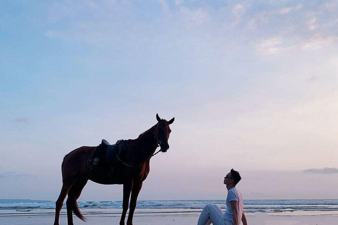 Private Bali Horse Riding In Seminyak Beach - Authentic Insights from Reviews