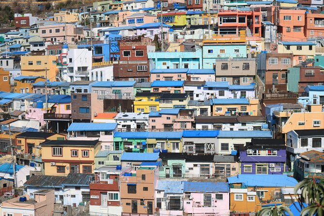 Private Busan tour with gamcheon culture village and the temple (Customizable) - The Sum Up