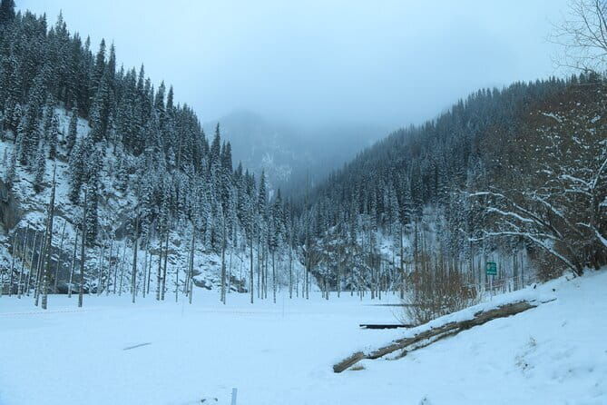 Private Charyn Canyon, Kolsai Lake with Optional Kaindy Lake tour - Transport and Pacing: What You Need to Know