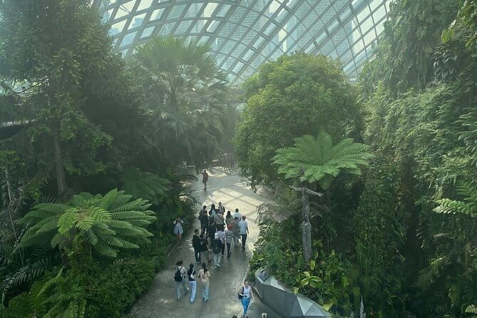 Private City Car Tour Singapore (4 Hours or 8 Hours) - What’s on the Itinerary? A Closer Look