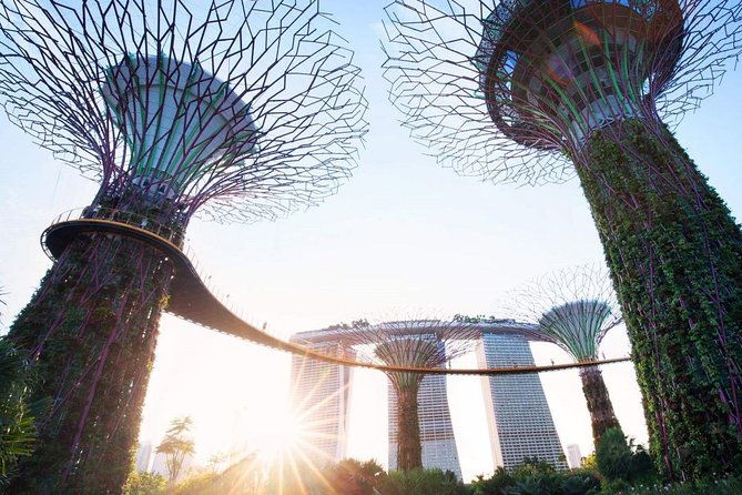 Private Customised Singapore Walking Tour - What You Can Expect from the Itinerary
