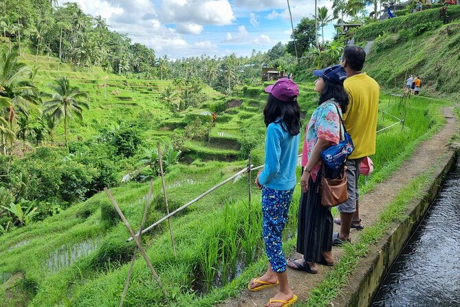 Private Customizable Bali Tour Visit with Transfer Included - The Itinerary: Fully Customizable