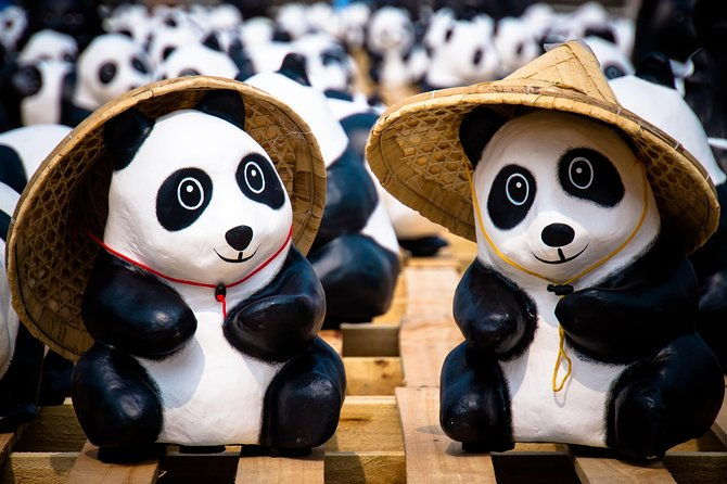 Private Day Tour: Dujiangyan Panda Base and Irrigation Project - What’s Included and What to Consider