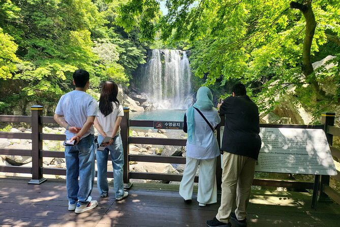 Private Day tour East & south & west of All area in jeju island - Who Would Love This Tour?
