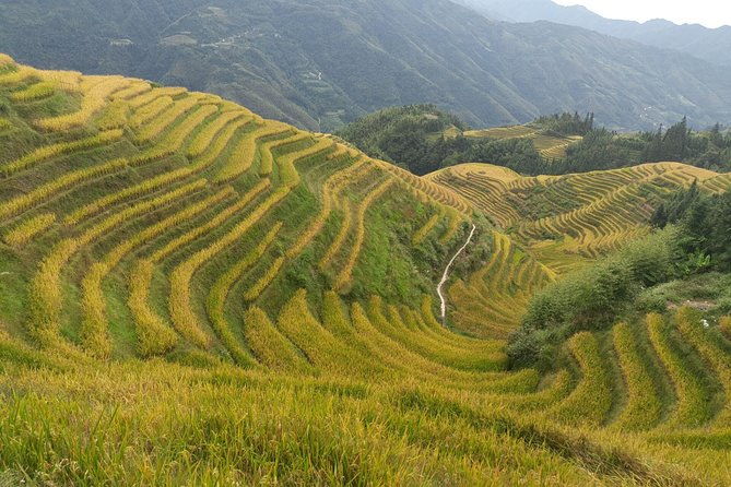Private Day Tour: Longji Rice Terraces and Long Hair Village - Authentic Experiences and Cultural Insights