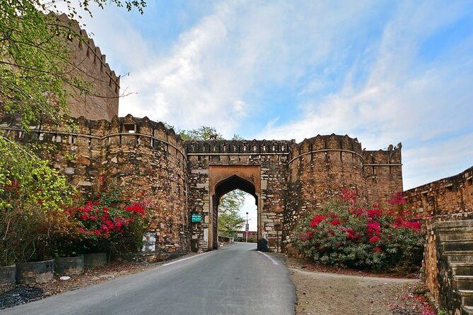 Private Day Trip to Chittorgarh from Udaipur with Guide Option - Practical Aspects and Value