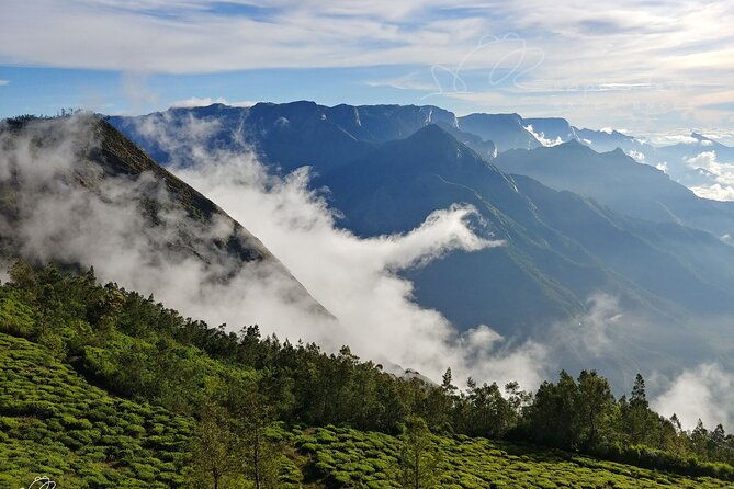 Private Day Trip to Munnar from Kochi (Cochin) - Who Should Consider This Tour?