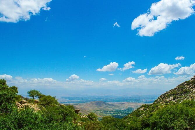 Private Day Trip to Shakhrisabz from Samarkand - Who Should Consider This Tour?